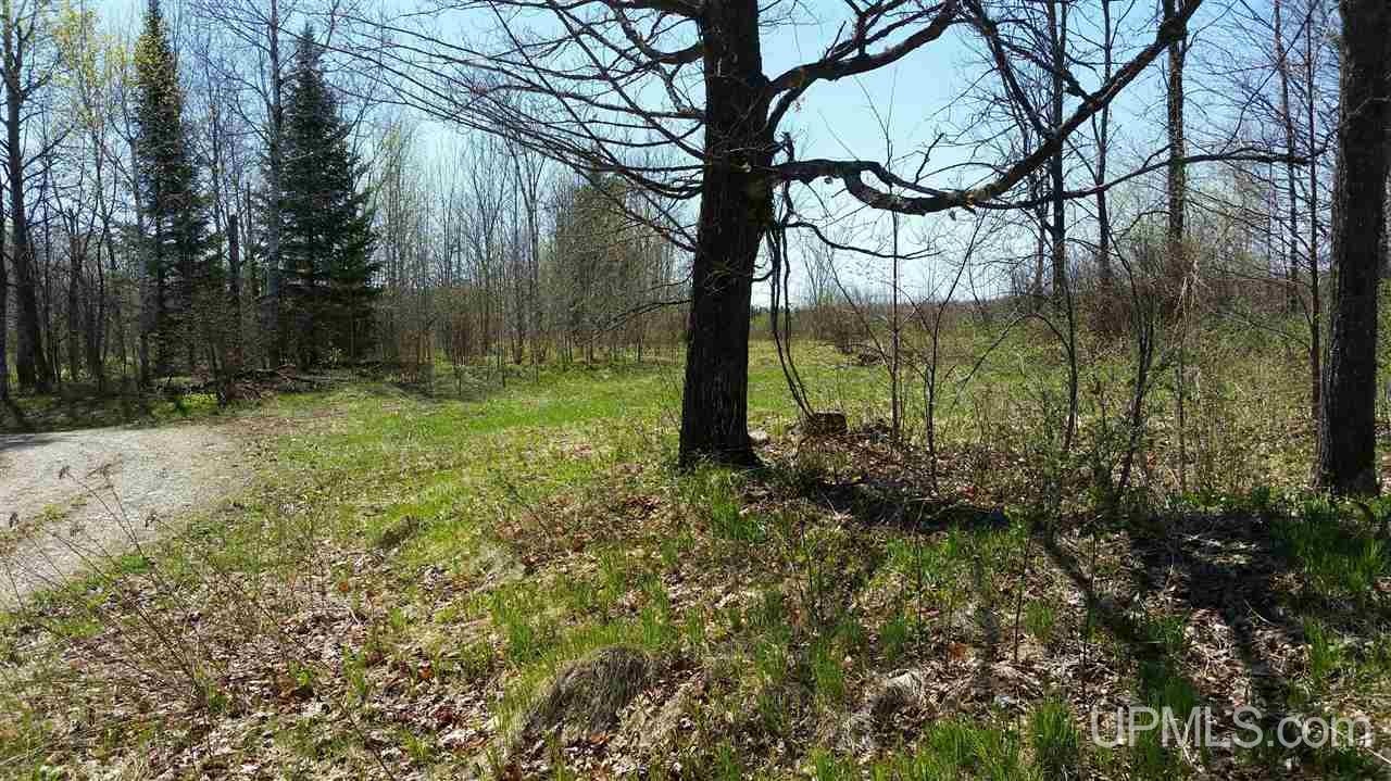 70 Long Lake Long Lake, WI 54542 - Photo 3 of 16