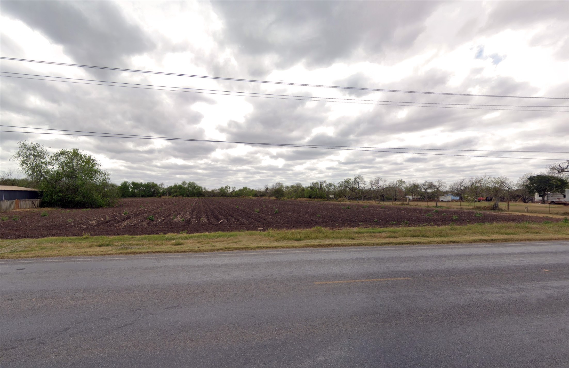 0 Bingley Road Los Fresnos, TX 78566 - Photo 1 of 3 a view of a big yard with a large tree in front of it