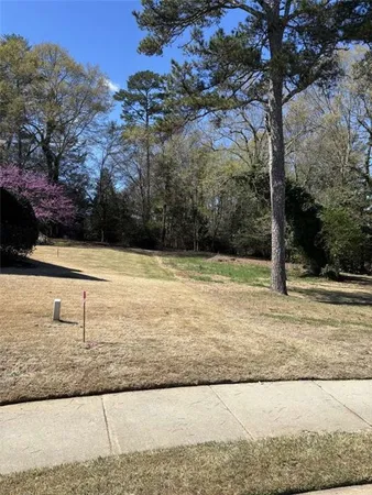 a view of a yard