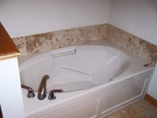 4175 Clegg Road Lambertville, MI 48144 - Photo 11 of 20 Garden tub