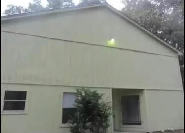 a close view of outdoor space and yard