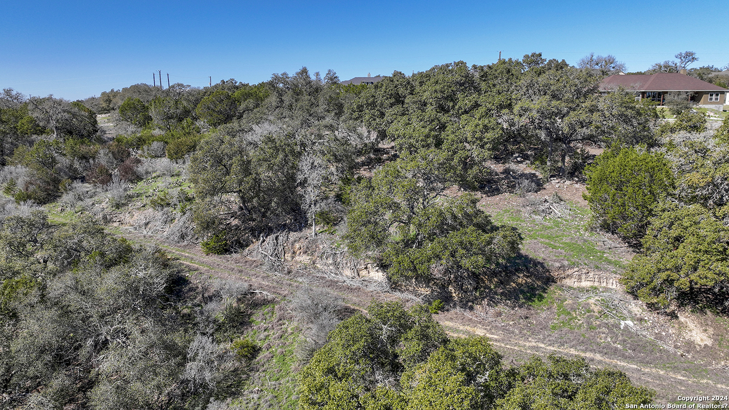 149 Alondra Lane Spring Branch, TX 78070 - Photo 19 of 46 a view of a forest with a street