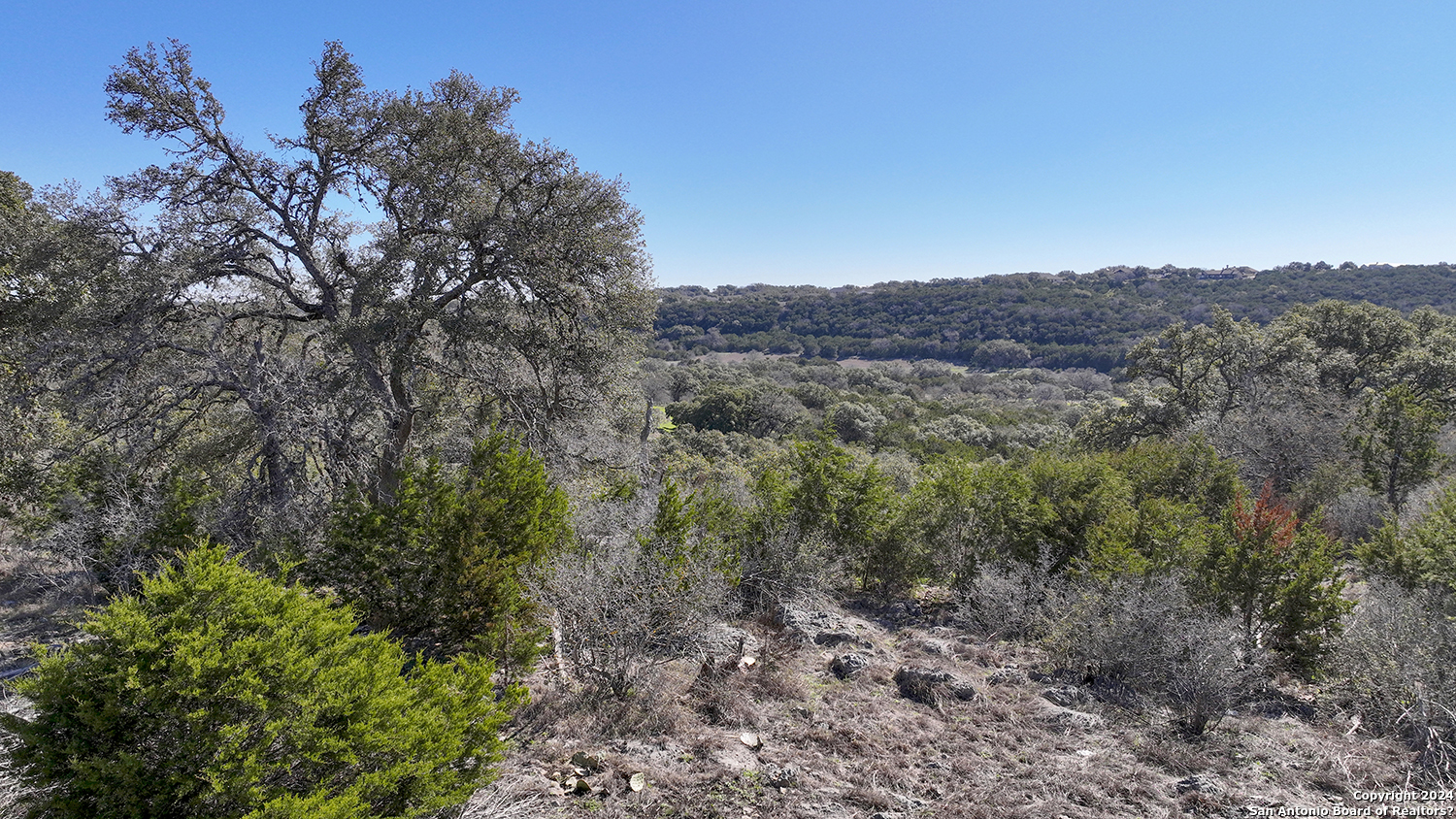 149 Alondra Lane Spring Branch, TX 78070 - Photo 22 of 46 a view of a forest with trees in the background