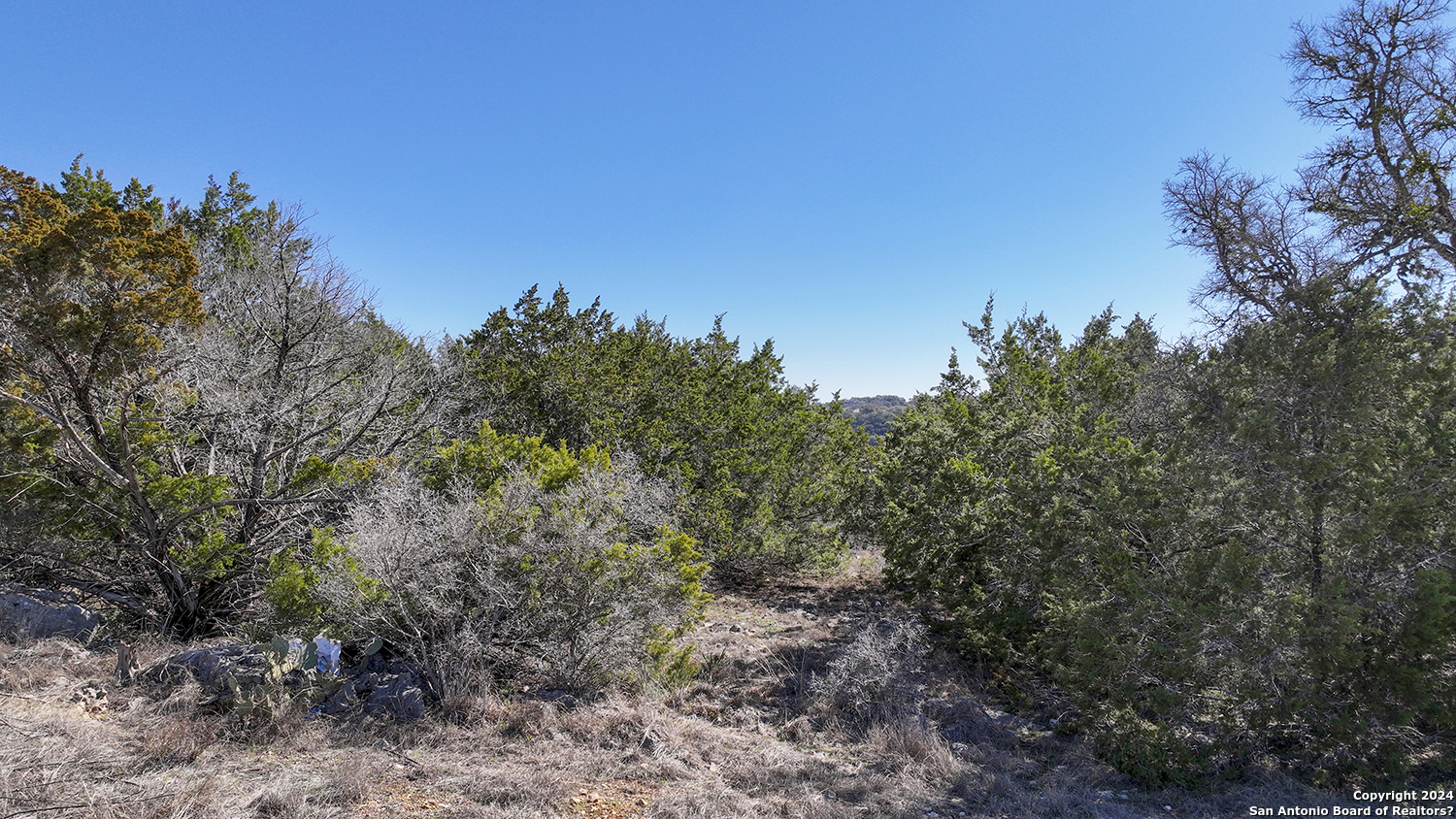 149 Alondra Lane Spring Branch, TX 78070 - Photo 27 of 46 a view of a forest with a tree in the background