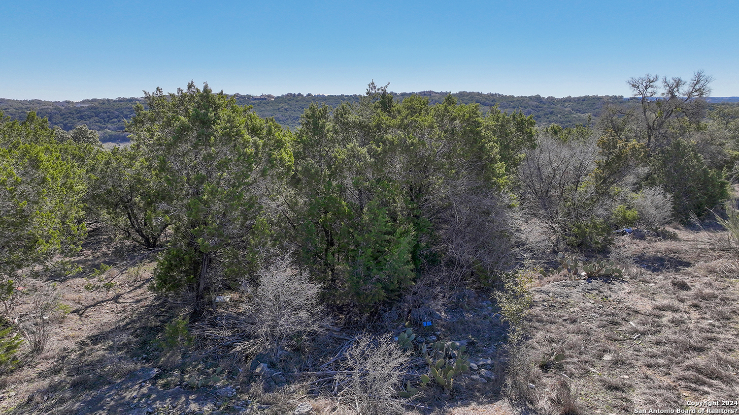 149 Alondra Lane Spring Branch, TX 78070 - Photo 28 of 46 a view of a forest with mountains in the background