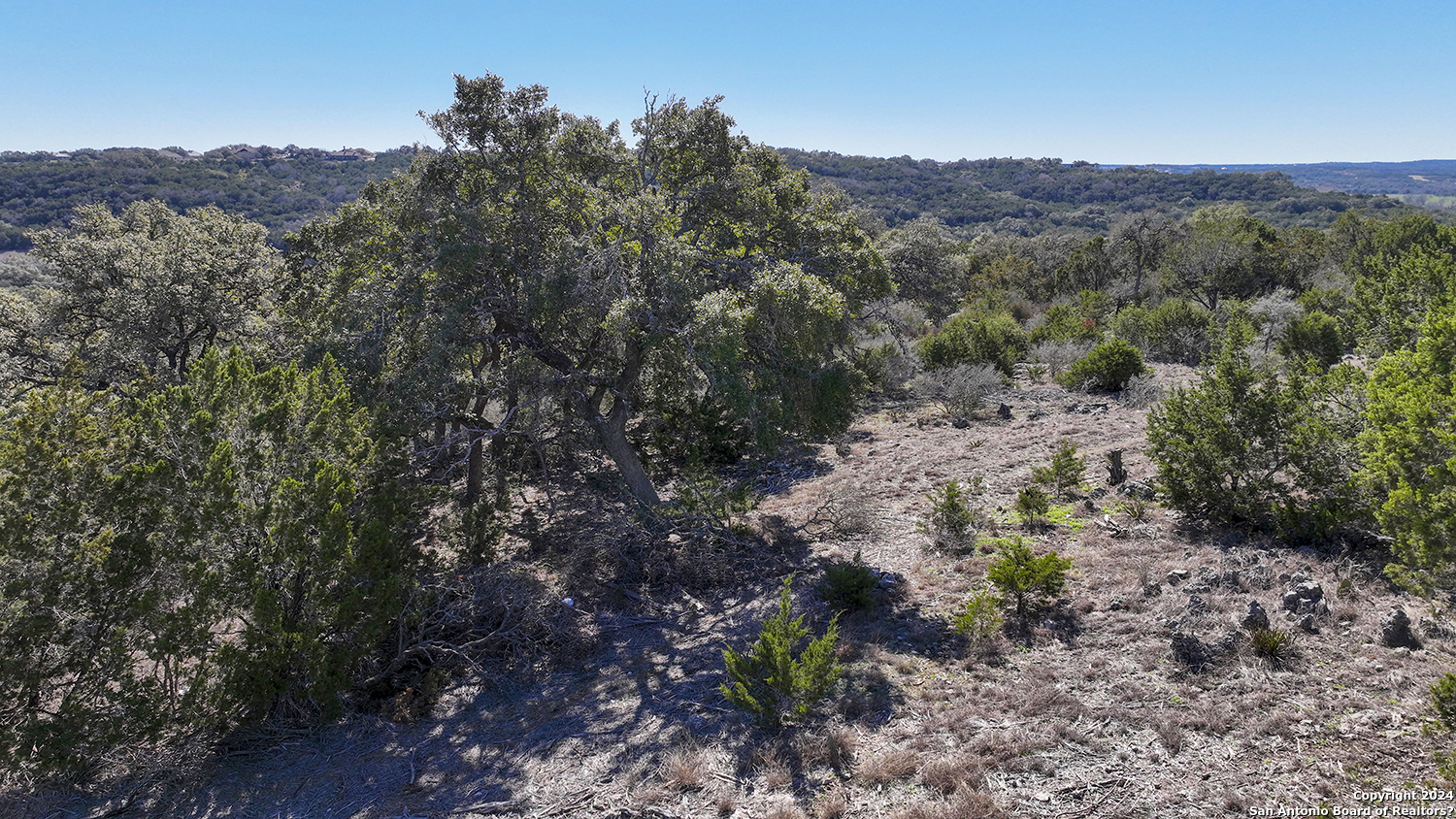 149 Alondra Lane Spring Branch, TX 78070 - Photo 33 of 46 a view of a forest with a mountain in the background