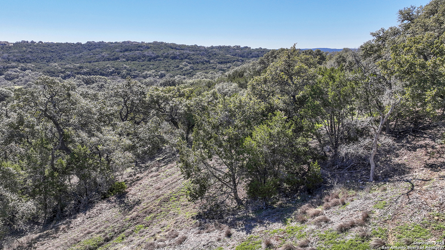 149 Alondra Lane Spring Branch, TX 78070 - Photo 34 of 46 a view of a large mountain with trees in the background
