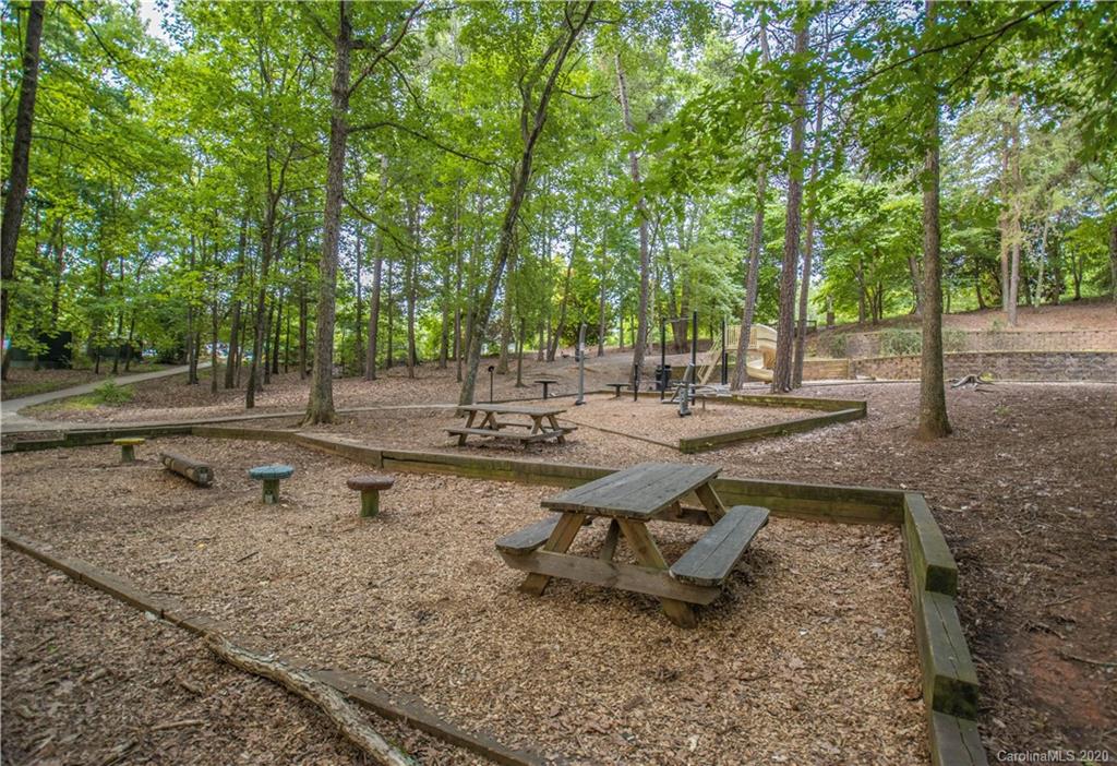 1068 Drayton Court Fort Mill, SC 29708 - Photo 34 of 37 a view of a park with large trees