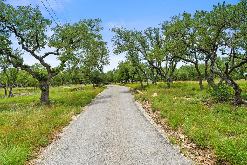 290 Sunset Ridge Dripping Springs, TX 78620 - Photo 31 of 36 A private road winding through a verdant landscape, surrounded by mature trees.