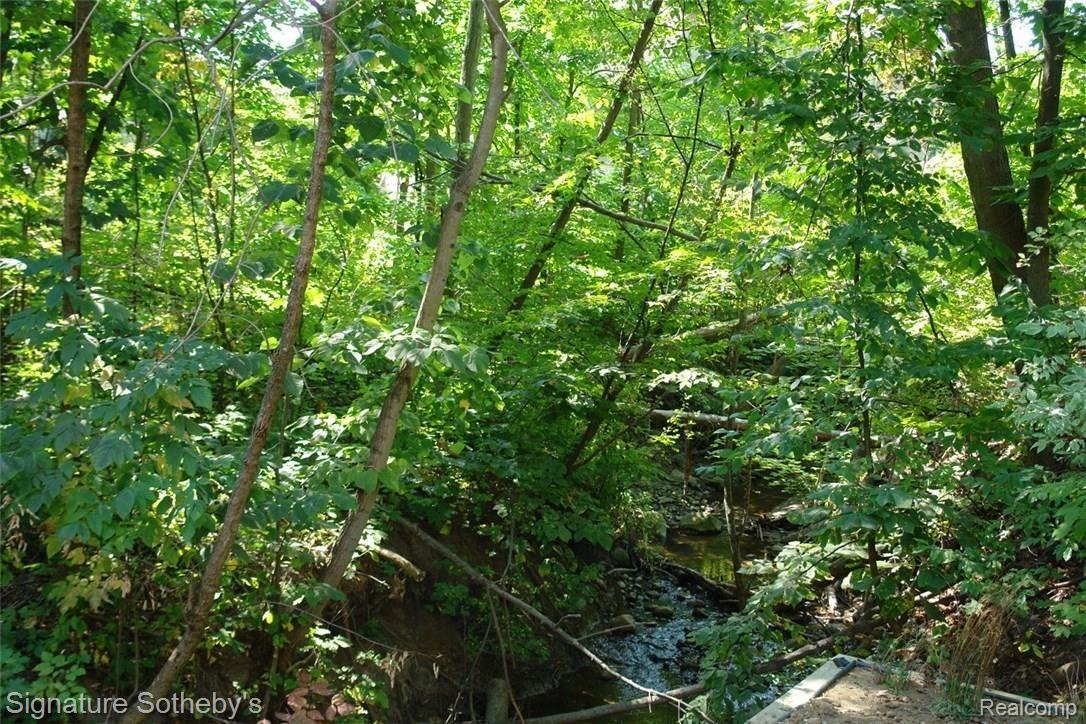 30895 Country Ridge Circle Farmington, MI 48331 - Photo 37 of 43 Creek Running Through Property - Lots of Nature