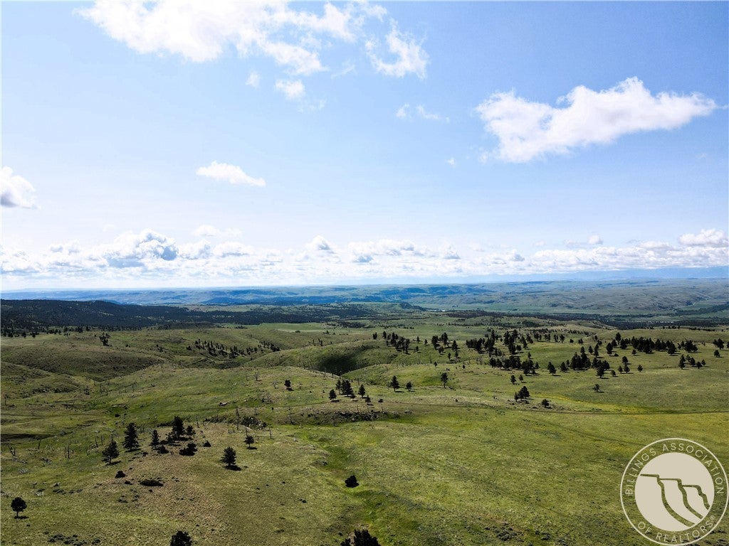 Tbd Tbd Deadmans Canyon Road Big Timber, MT 59011 - Photo 1 of 10 Gallery Image 1