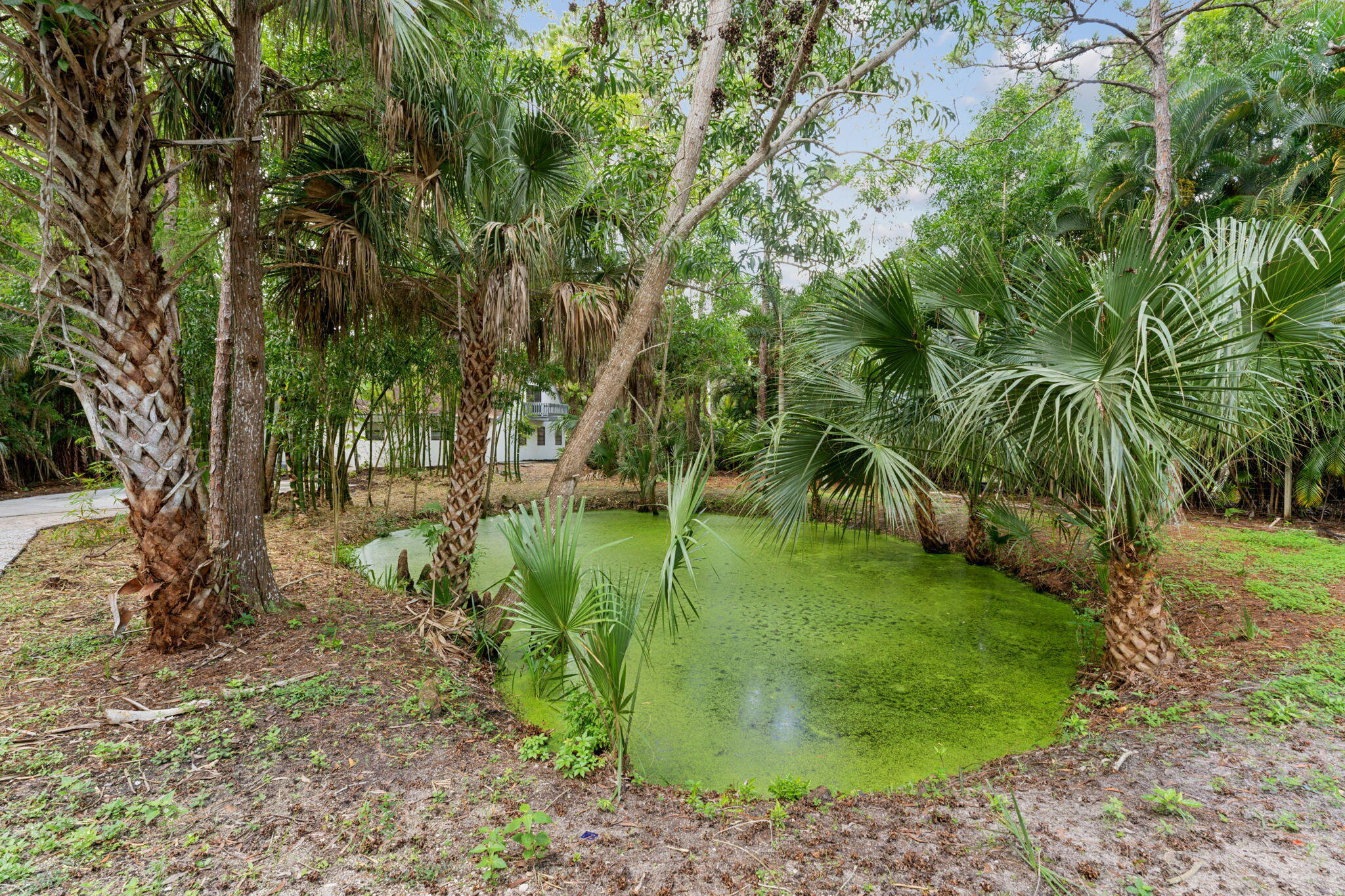 10075 Sandy Run Road Jupiter, FL 33478 - Photo 27 of 32 34-web-or-mls-DSC07053