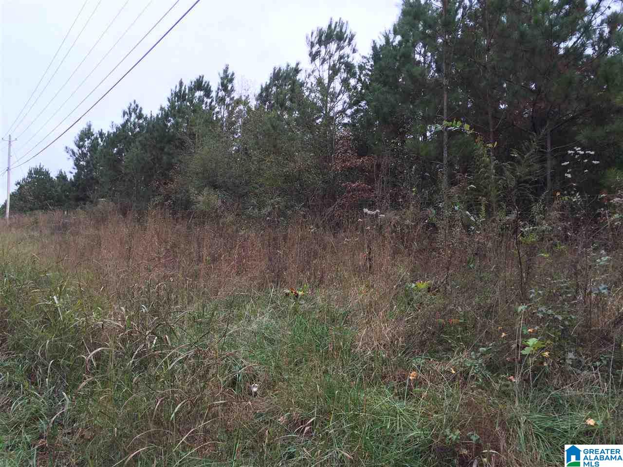 Page Spring Road, Unit 4 Arab, AL 35016 - Photo 13 of 29