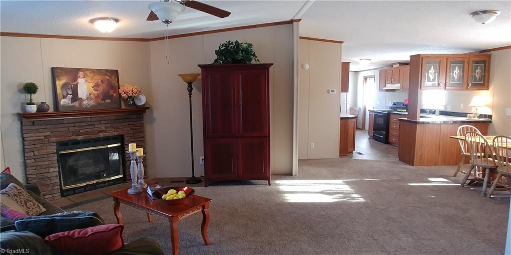 1603 Huffman Fork Road Purlear, NC 28665 - Photo 4 of 29