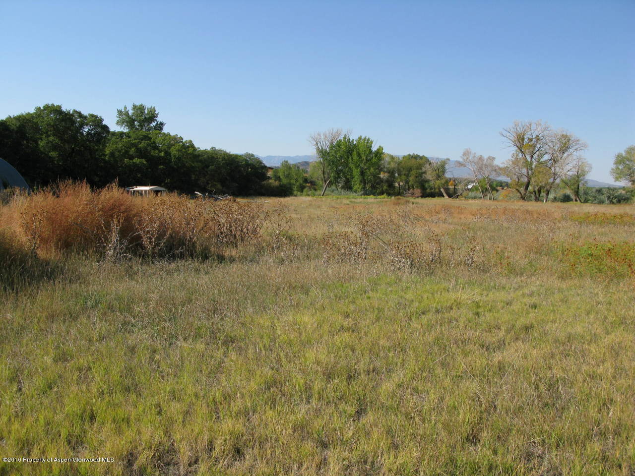 1531 335th Road New Castle, CO 81647 - Photo 6 of 6 Pasture next to Colorado River