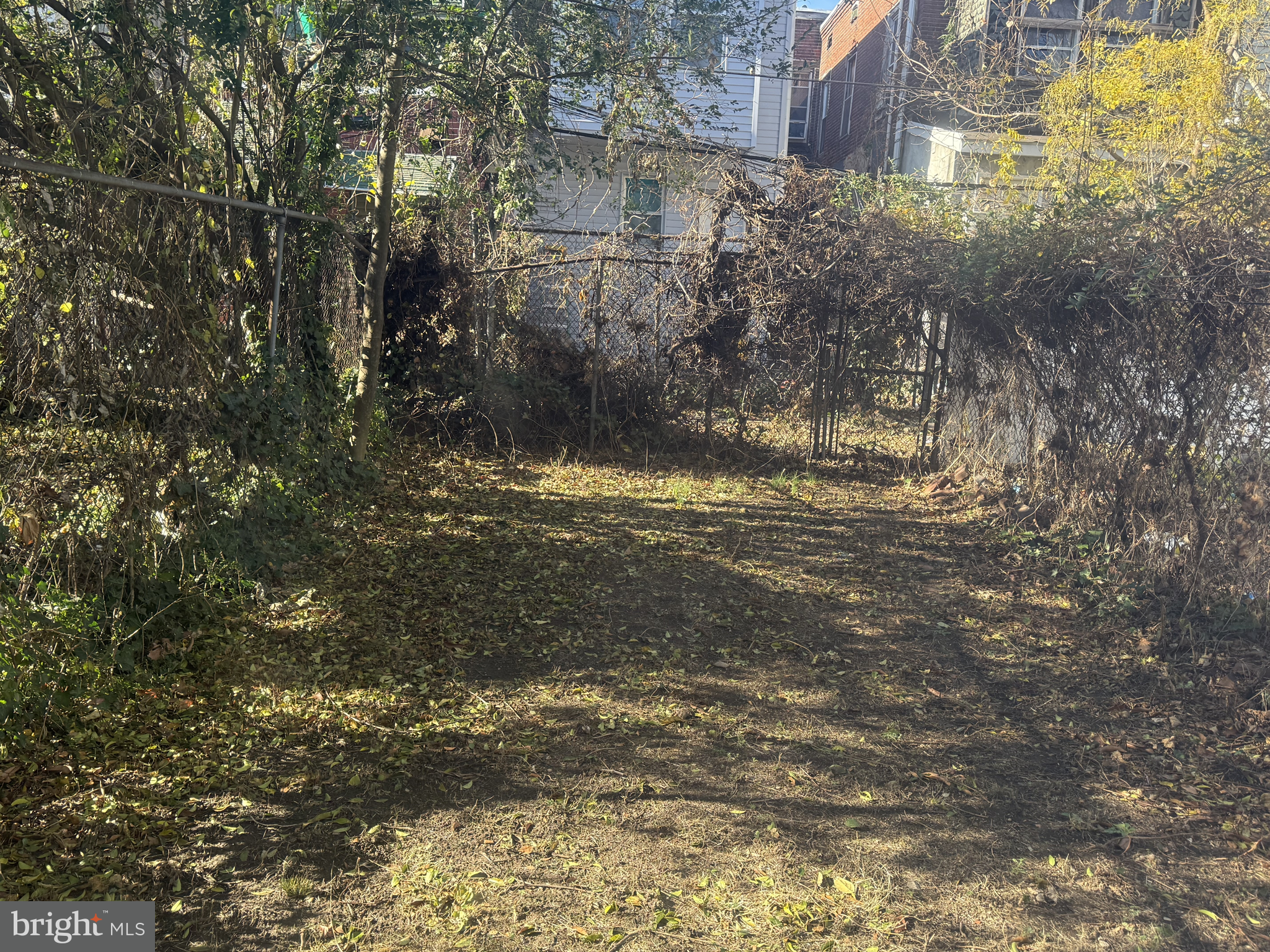 2136 North 21st Street Philadelphia, PA 19121 - Photo 17 of 17 a view of lot of tall trees