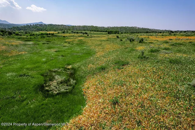 a view of a lush green outdoor space with a lake view