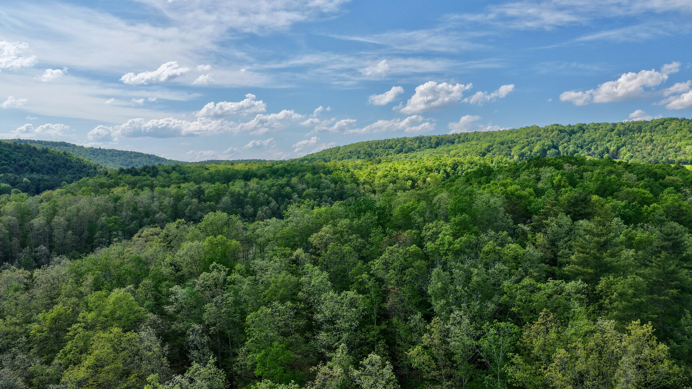 8991 Jones Mountain Road Union, WV 24983 - Photo 11 of 20 8891 Jones Mountain Rd (13)