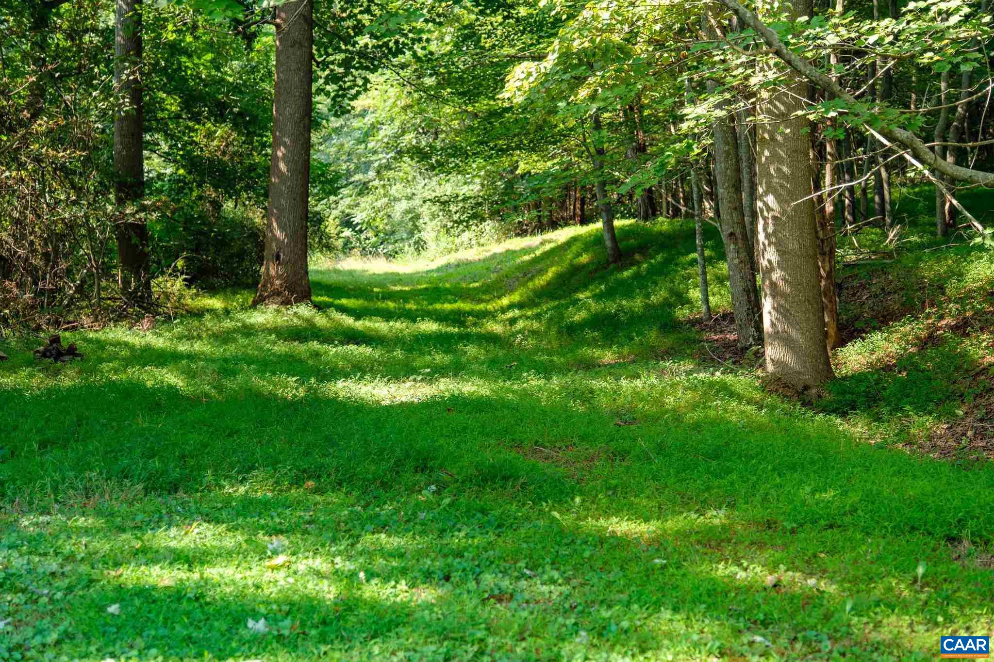 2010 Stagebridge Road Lovingston, VA 22949 - Photo 6 of 17 a lush green forest with lots of trees