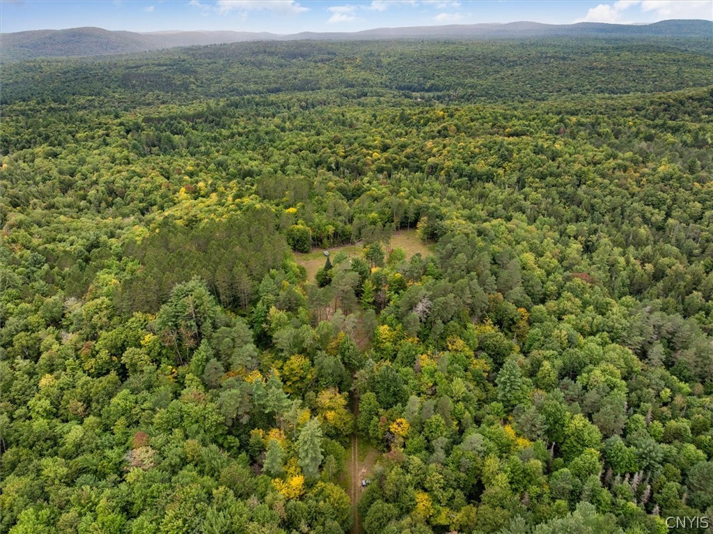 0 Piseco Road Stratford, NY 13470 - Photo 7 of 15 Gallery Image 7