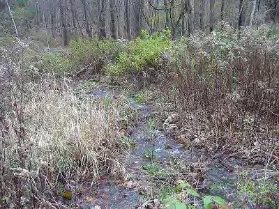 39 Oxbow Road Great Barrington, MA 01230 - Photo 7 of 8 Seasonal stream
