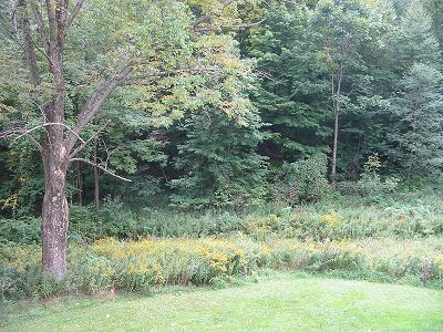 39 Oxbow Road Great Barrington, MA 01230 - Photo 8 of 8 View from deck - early Fall