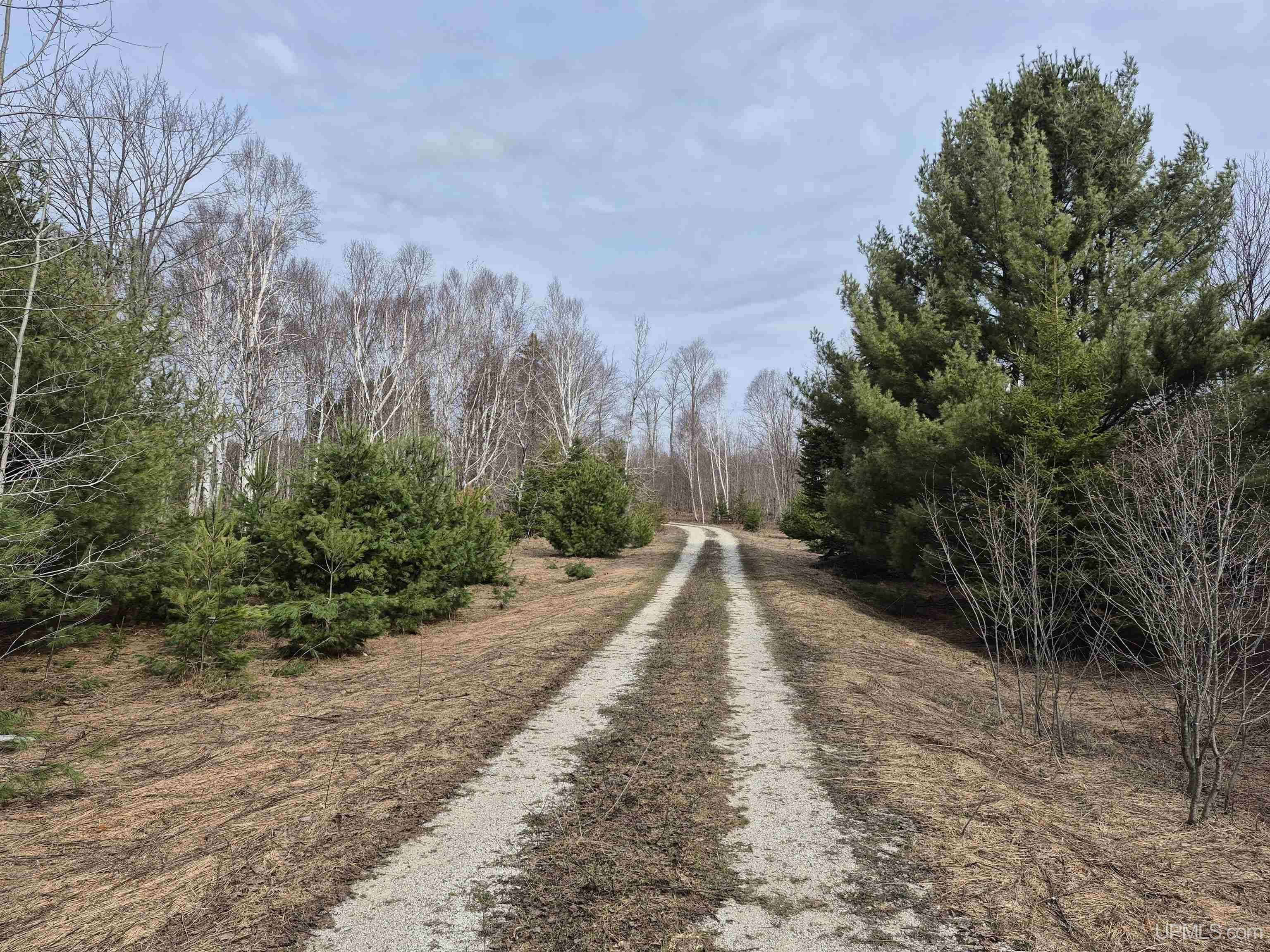 3754 Quarry Road Gulliver, MI 49840 - Photo 21 of 77