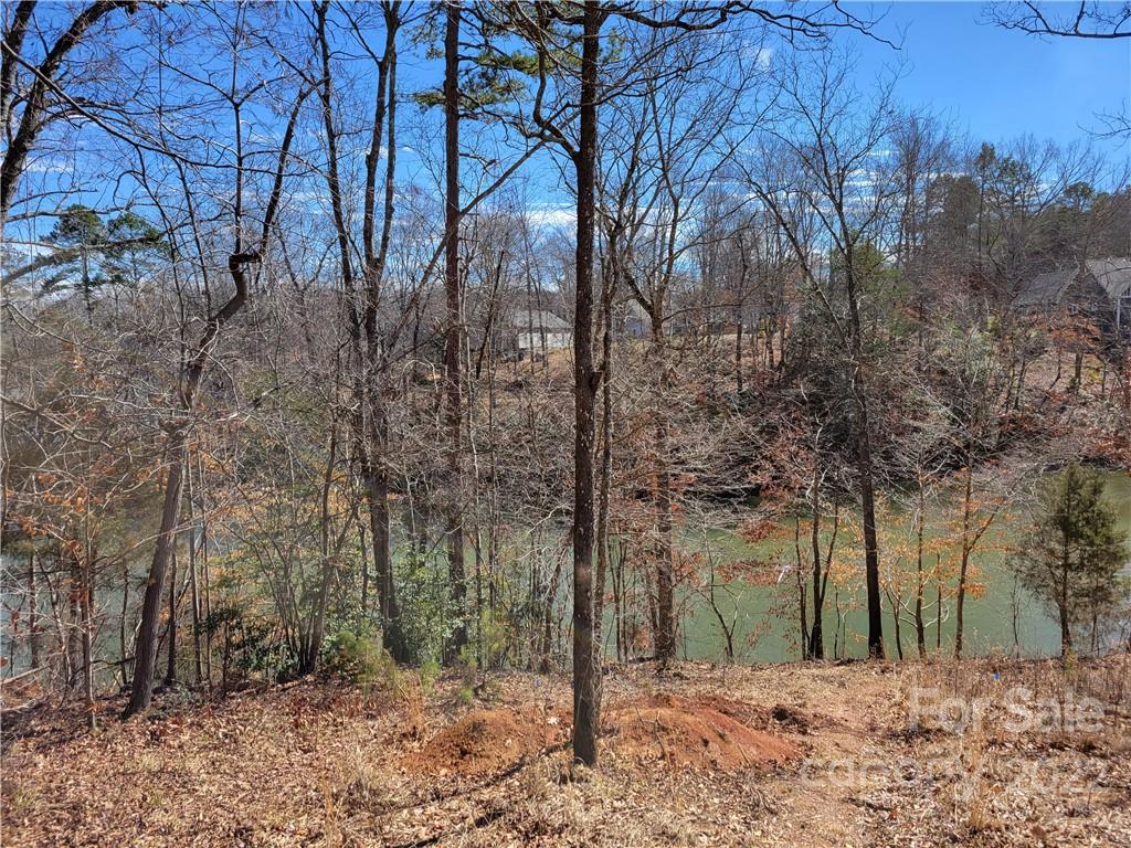1337 Terrapin Ridge Road Catawba, NC 28609 - Photo 1 of 7 Gallery Image 1