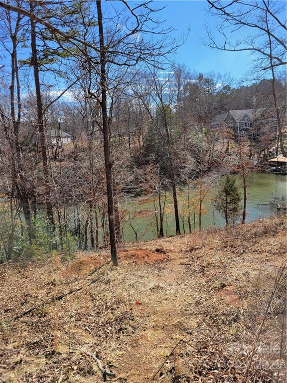 1337 Terrapin Ridge Road Catawba, NC 28609 - Photo 3 of 7 Gallery Image 3
