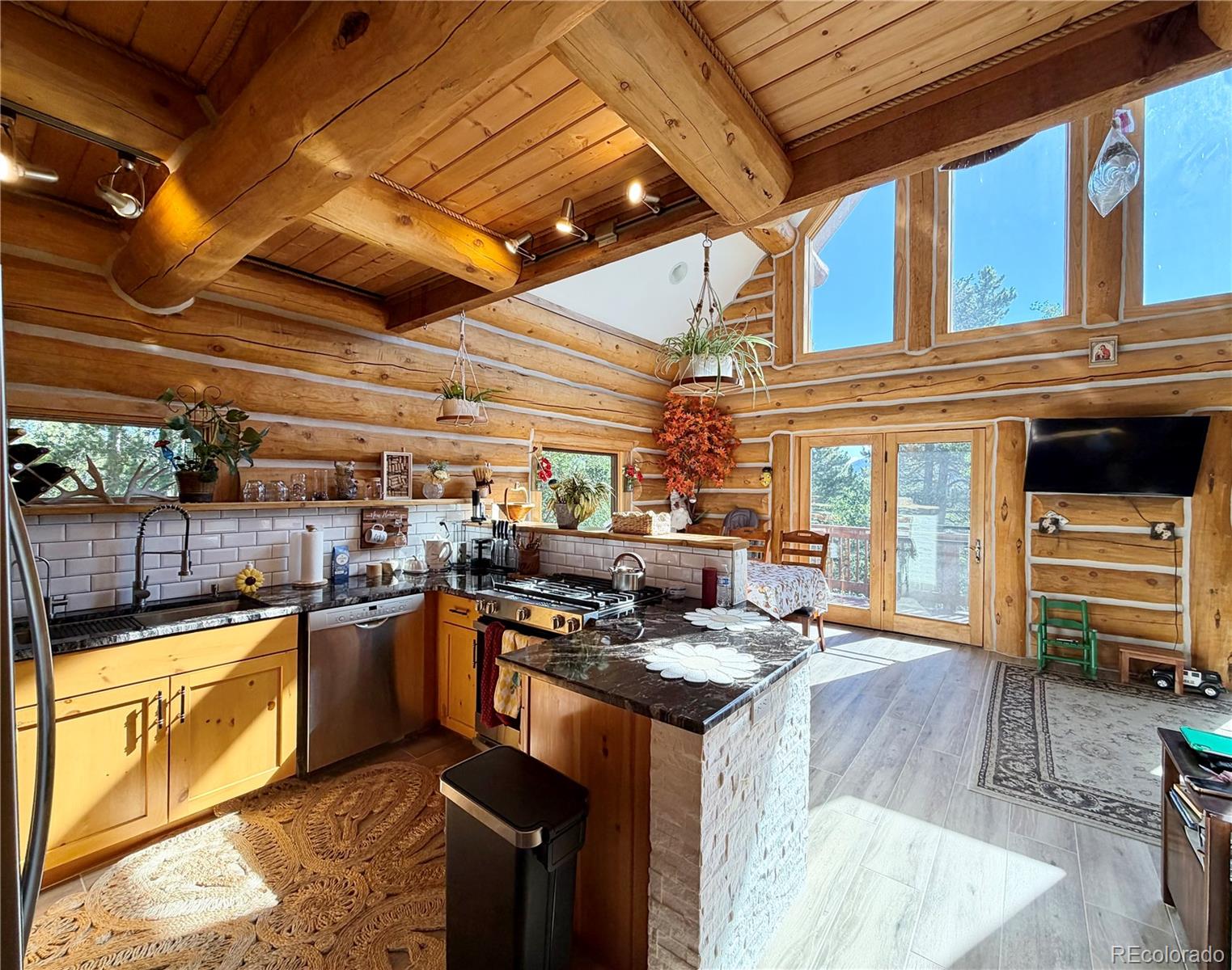 169 Athena Road Black Hawk, CO 80422 - Photo 8 of 29