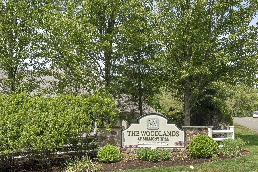 15 Summit Road, Unit 15 Belmont, MA 02478 - Photo 41 of 41 Gallery Image 41