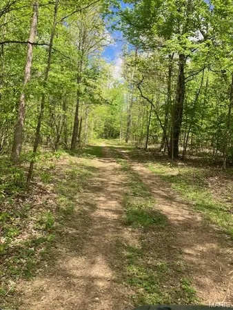 $99,995 | 226 Madison Cr, Fredericktown, MO 63645