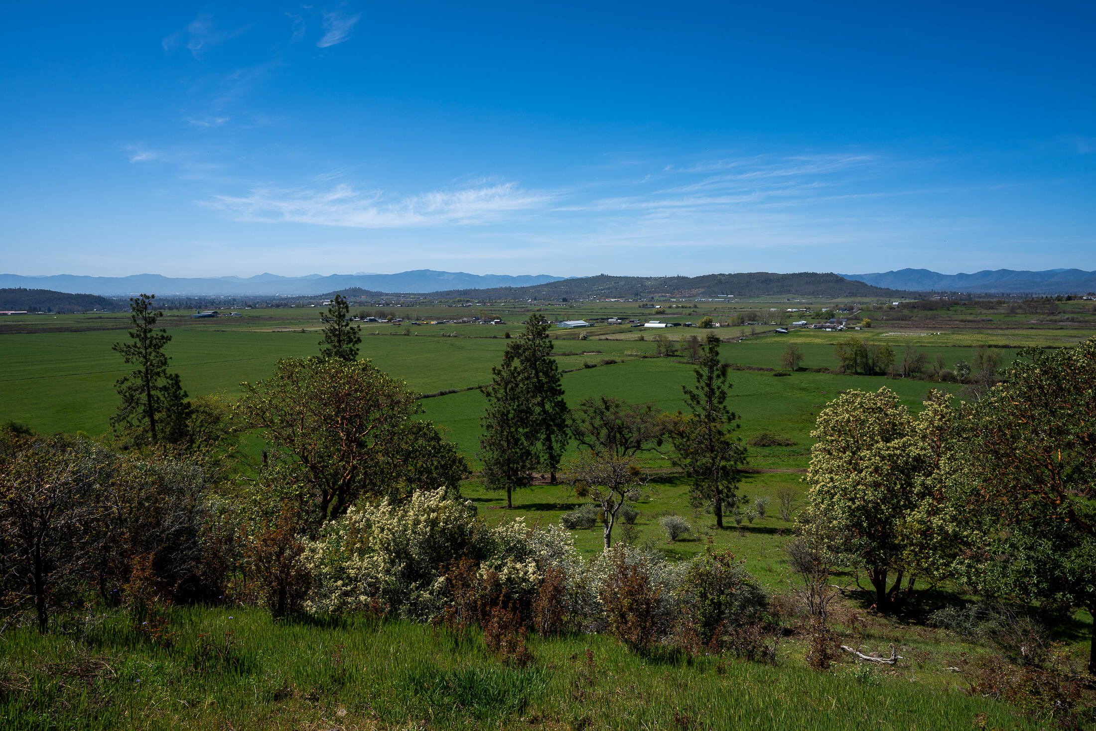 1881 Brophy Road Eagle Point, OR 97524 - Photo 102 of 130 a view of a green field with lots of bushes