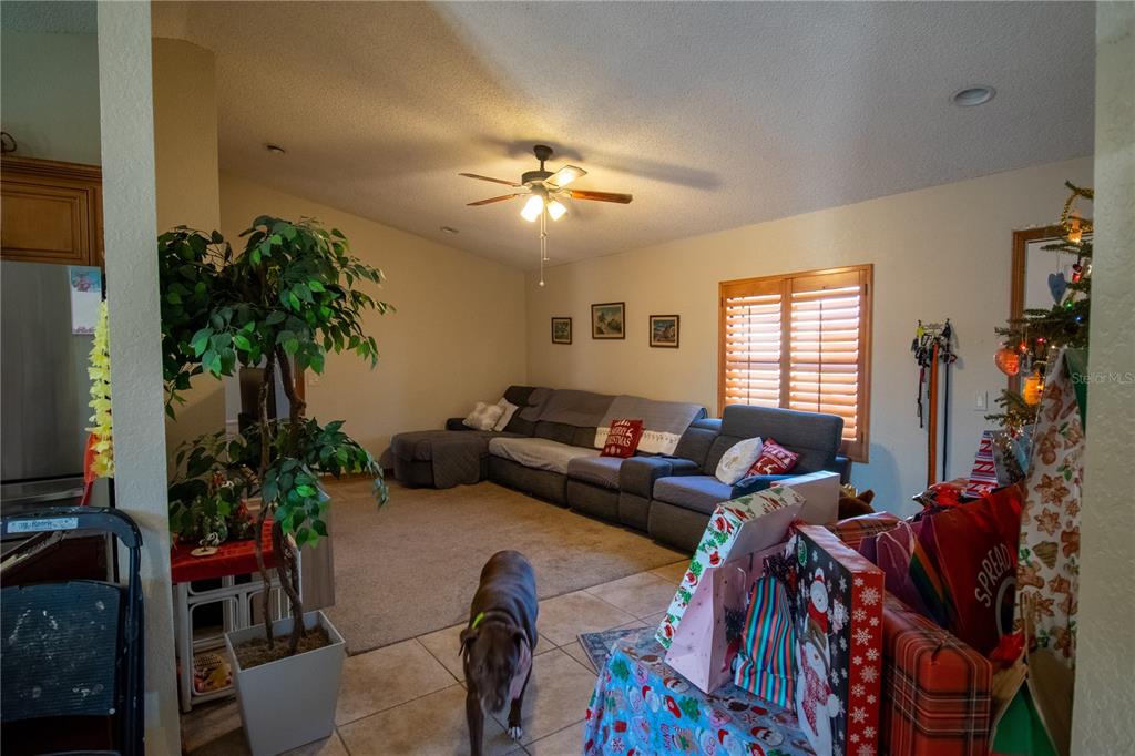 6219 Coliseum Boulevard Port Charlotte, FL 33981 - Photo 10 of 48 a living room with furniture and a potted plant