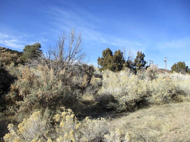 322 (2.46 Ac) Pioche, NV 89043 - Photo 3 of 7 View of nature