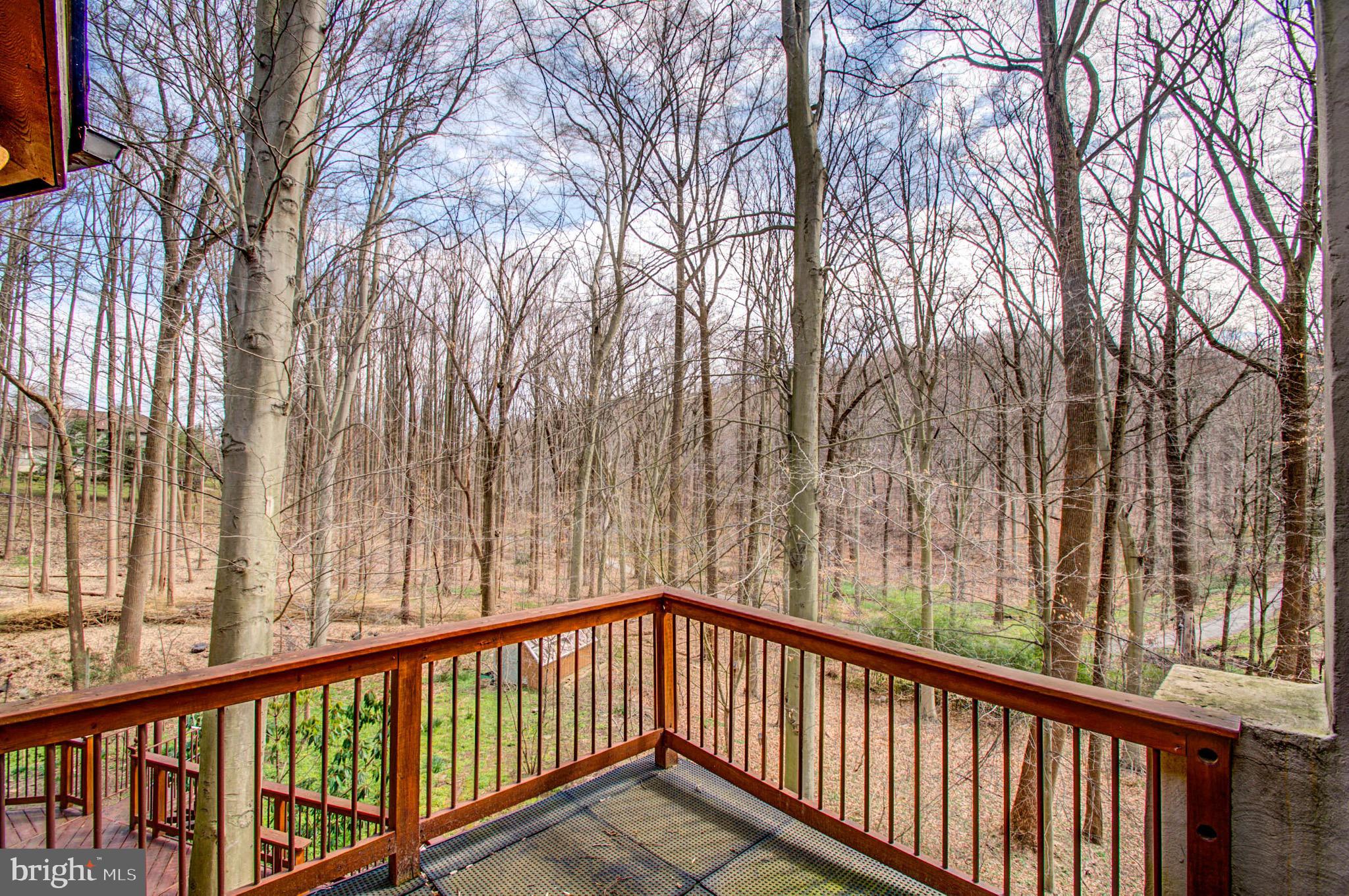 View of your woods from one bedroom