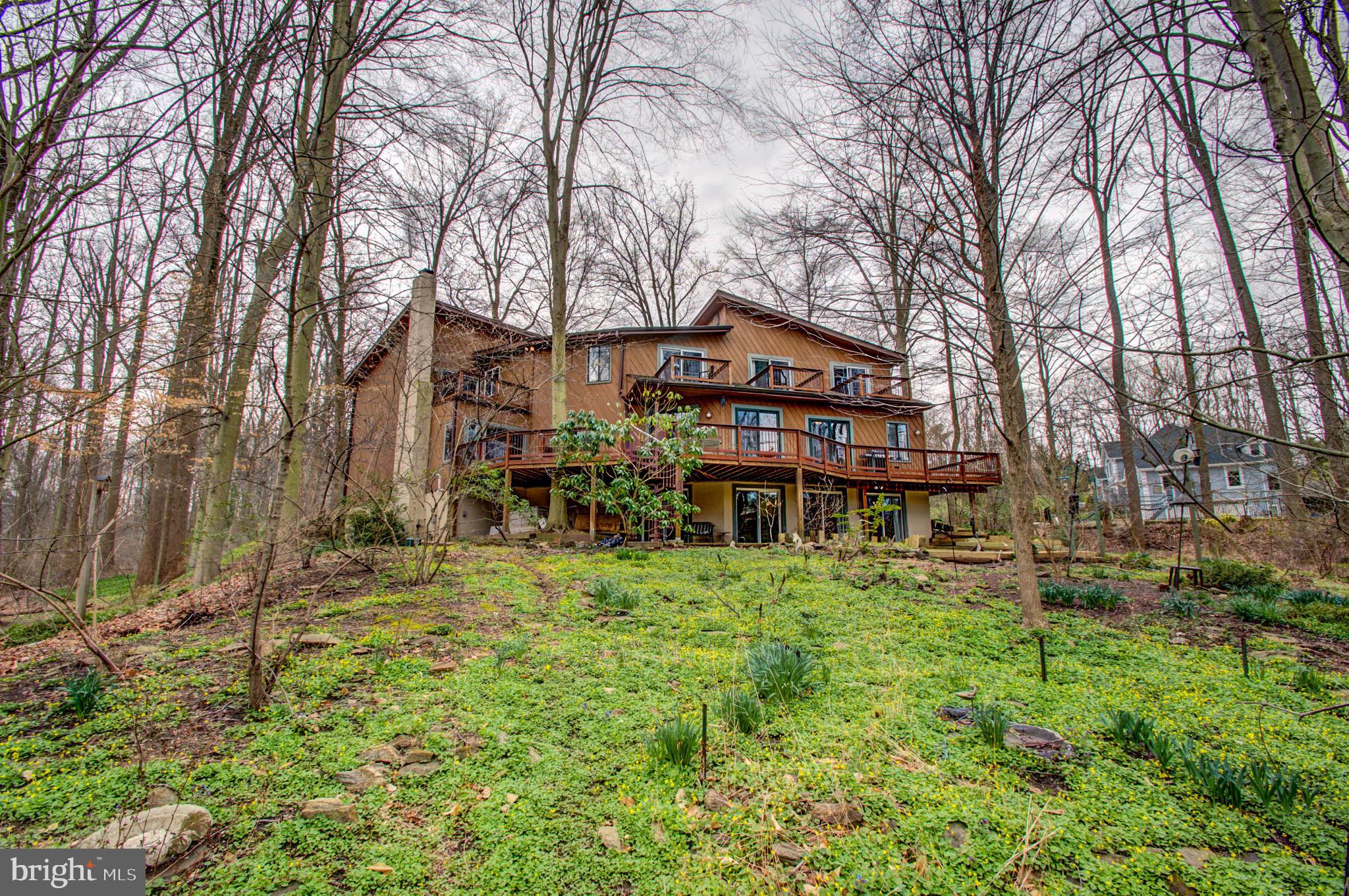 From your woods - look at those decks!