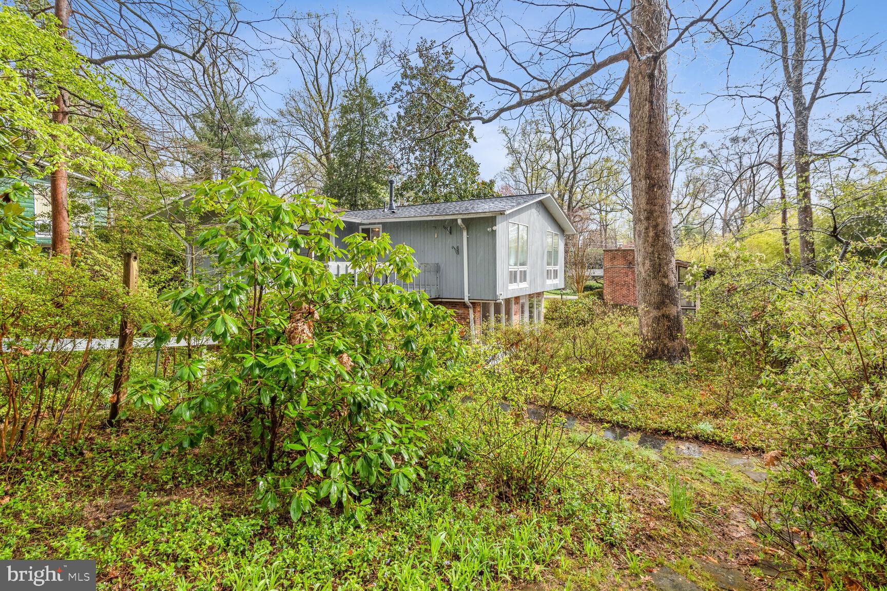 3413 Pendleton Drive Silver Spring, MD 20902 - Photo 28 of 30 Lush Wooded Lot