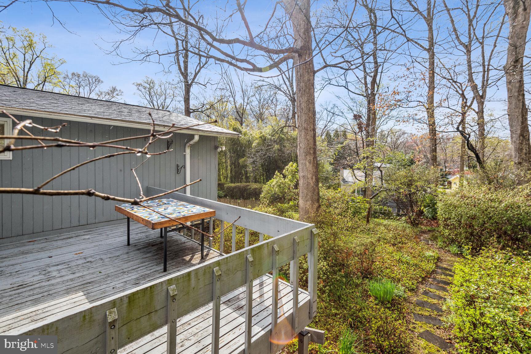 3413 Pendleton Drive Silver Spring, MD 20902 - Photo 29 of 30 Mature Native Plants