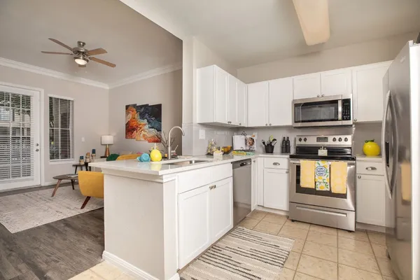 $1,285 | 4001 Fannin Street, Unit 4423, Houston, TX 77004