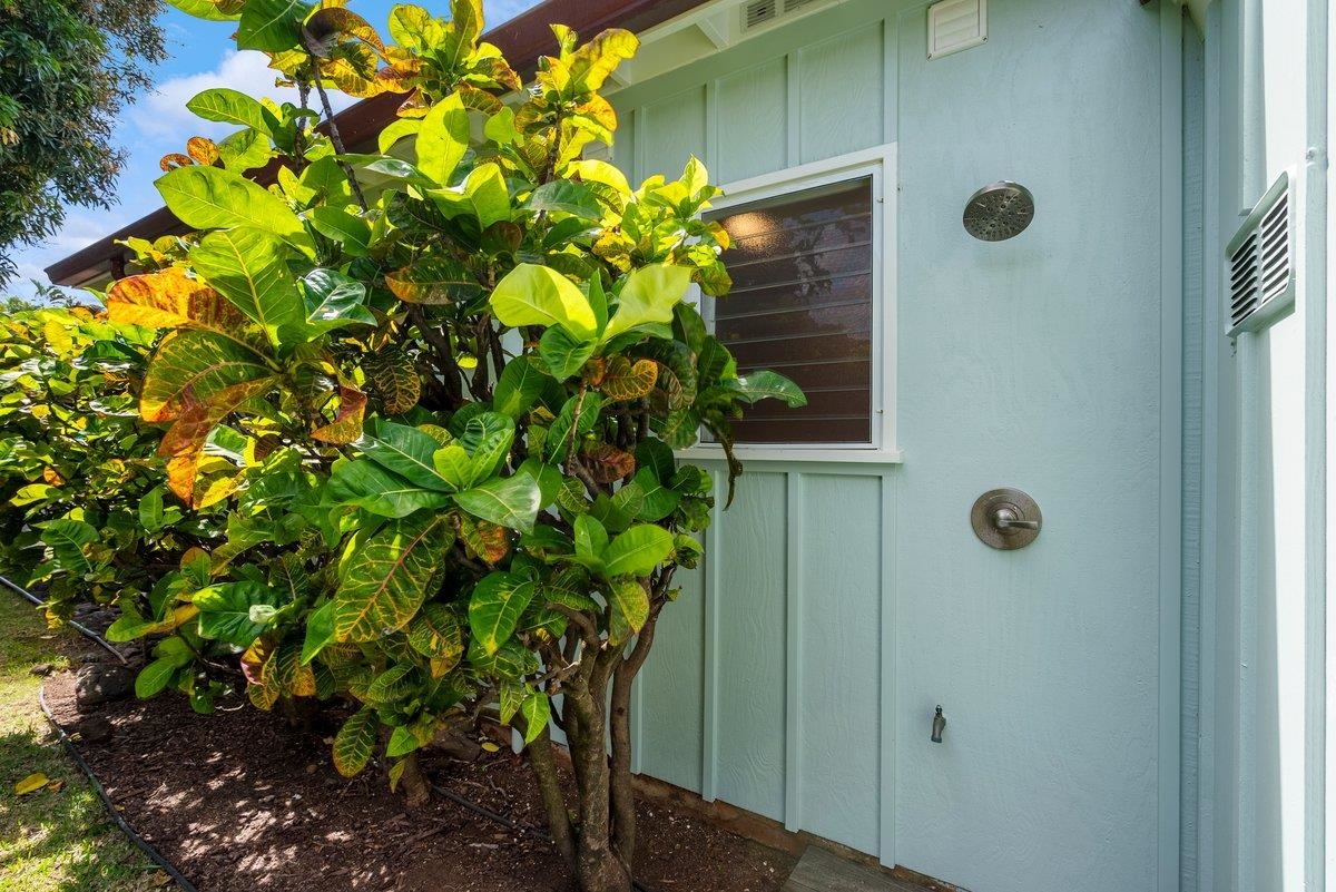 20 Hui Road East, Unit 37 Lahaina, HI 96761 - Photo 35 of 39 a view of a potted plant
