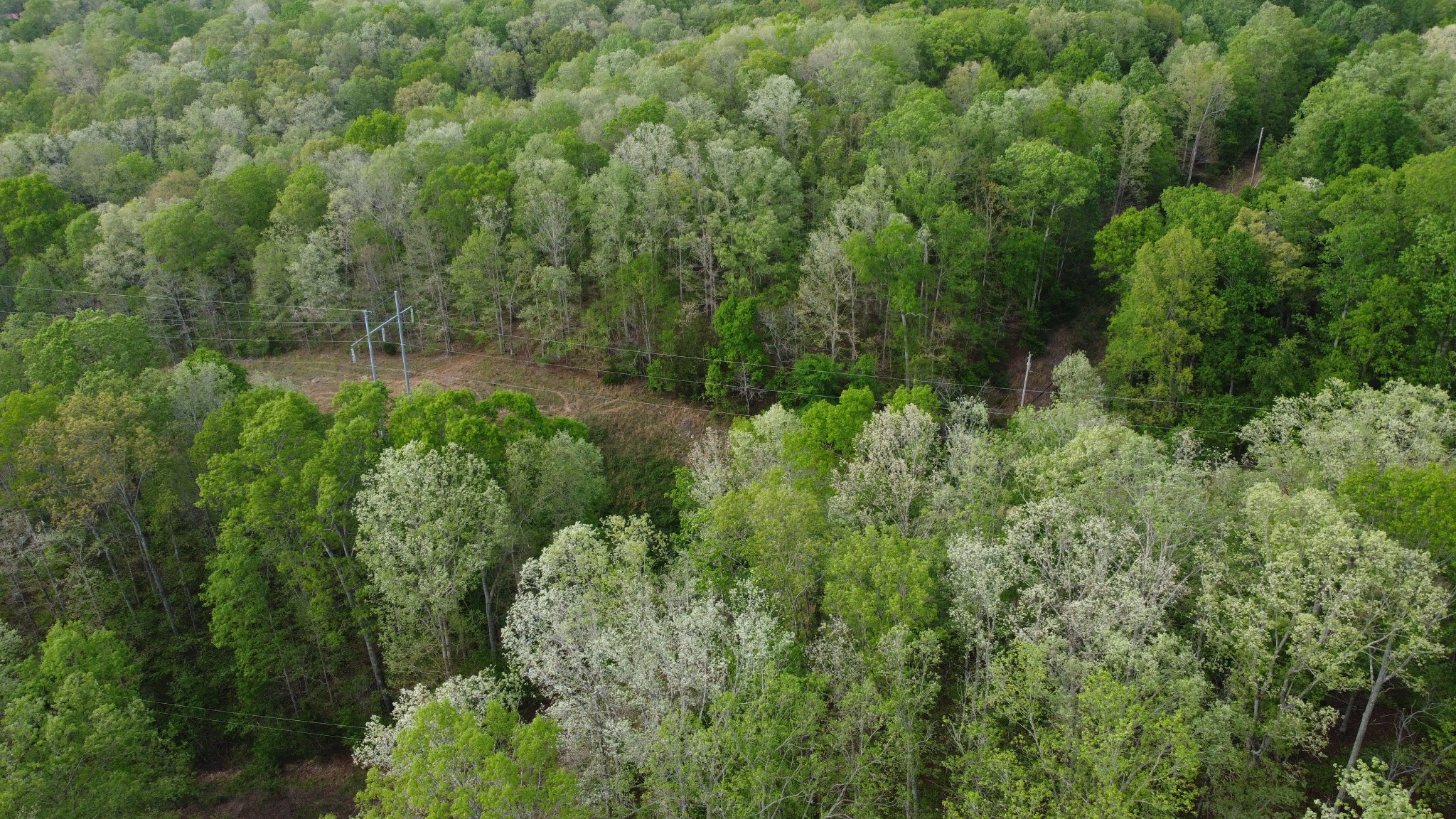 455 Moss Spring Hollow Road Centerville, TN 37033 - Photo 4 of 12
