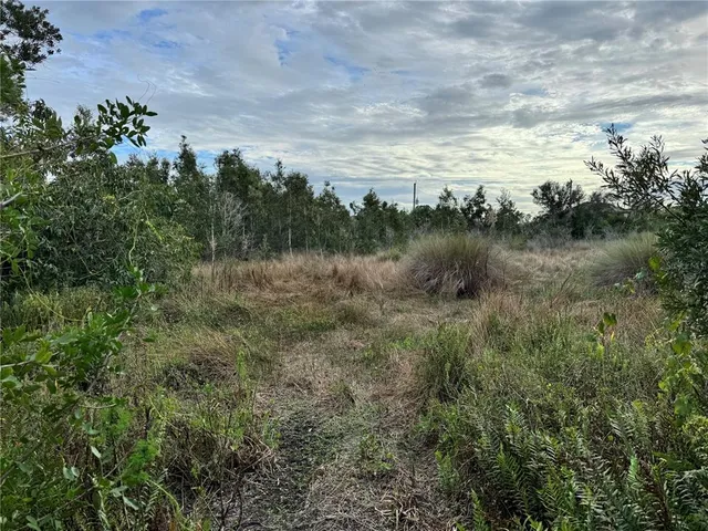 a view of a lake with a forest