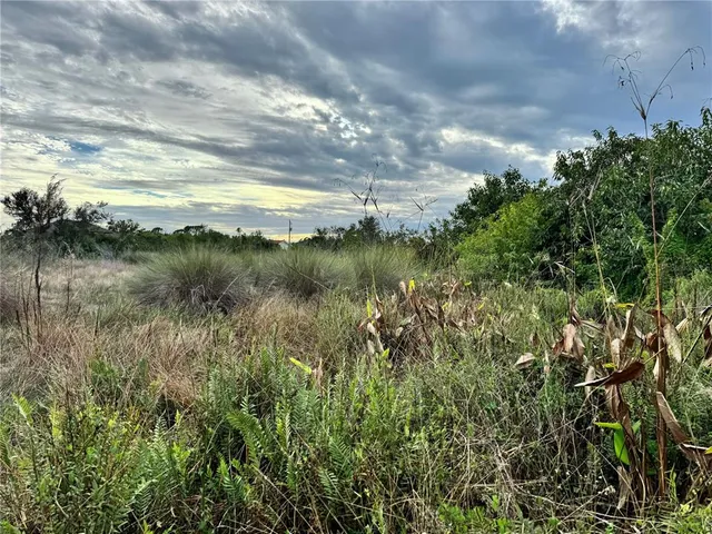 a view of lake with green space