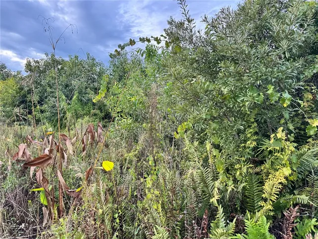 a view of a back yard of the house and swimming pool