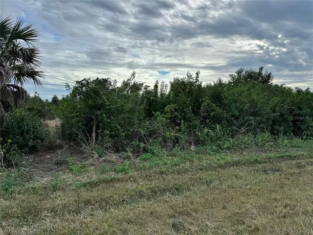 a view of a field of grass and trees