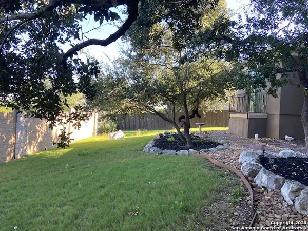 a view of a patio with a tree