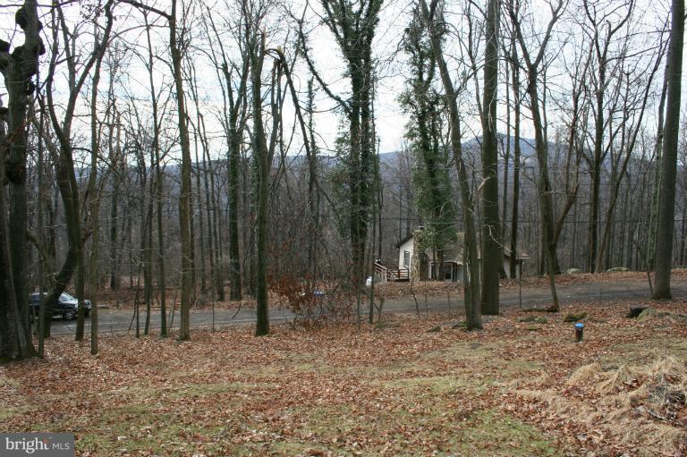 93 Parna Road Linden, VA 22642 - Photo 6 of 29 View