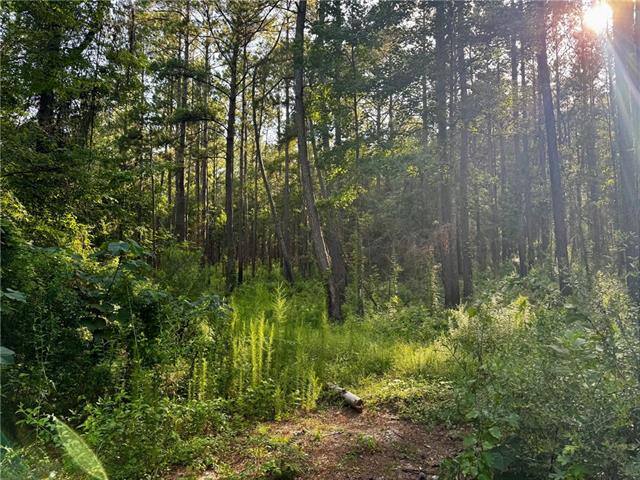 3 Ward Line Road Bogalusa, LA 70427 - Photo 10 of 12