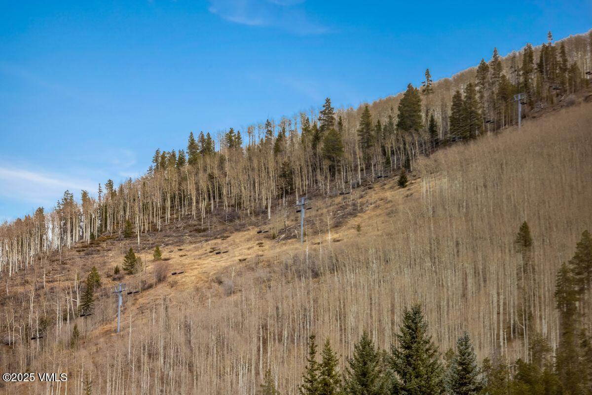 1546 Matterhorn Circle, Unit 4 Vail, CO 81657 - Photo 30 of 33 photo_online_029